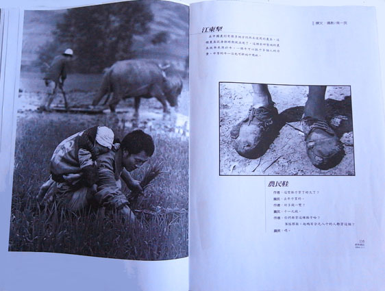 Hou Yimin, Peasants Images