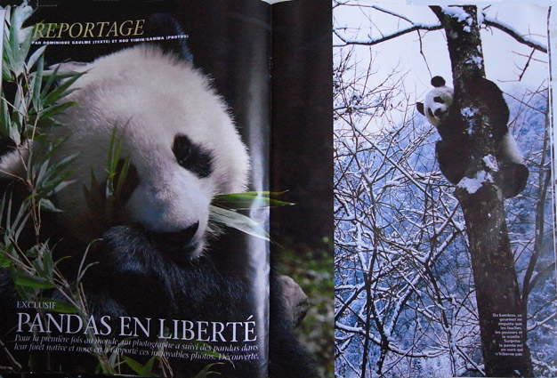 publication in Le Figaro 