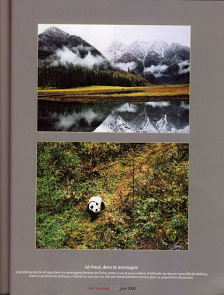 Panda photo publications, Hou Yimin