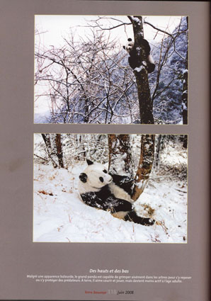 Panda photo publications, Hou Yimin