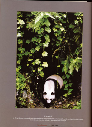 Panda photo publications, Hou Yimin
