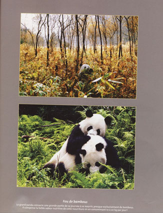 Panda photo publications, Hou Yimin
