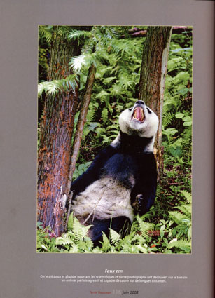 Panda photo publications, Hou Yimin