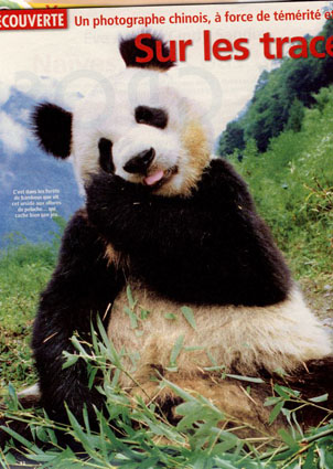 Panda photo publications, Hou Yimin